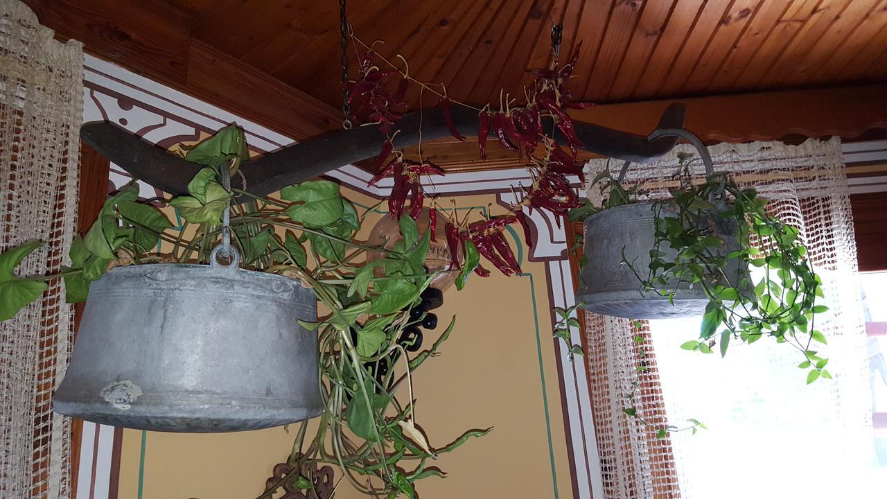 Chuchura Family Hotel Koprivshtitsa Luaran gambar
